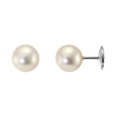 Earrings White Gold 750 Perles culture Akoya 7.5mm